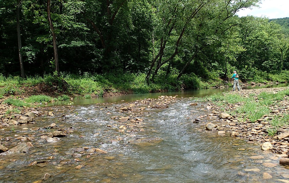 Pools upstream of shoals proved good fishing for Bodishbaugh in July 2021 on the Kings River.
(NWA Democrat-Gazette/Flip Putthoff)