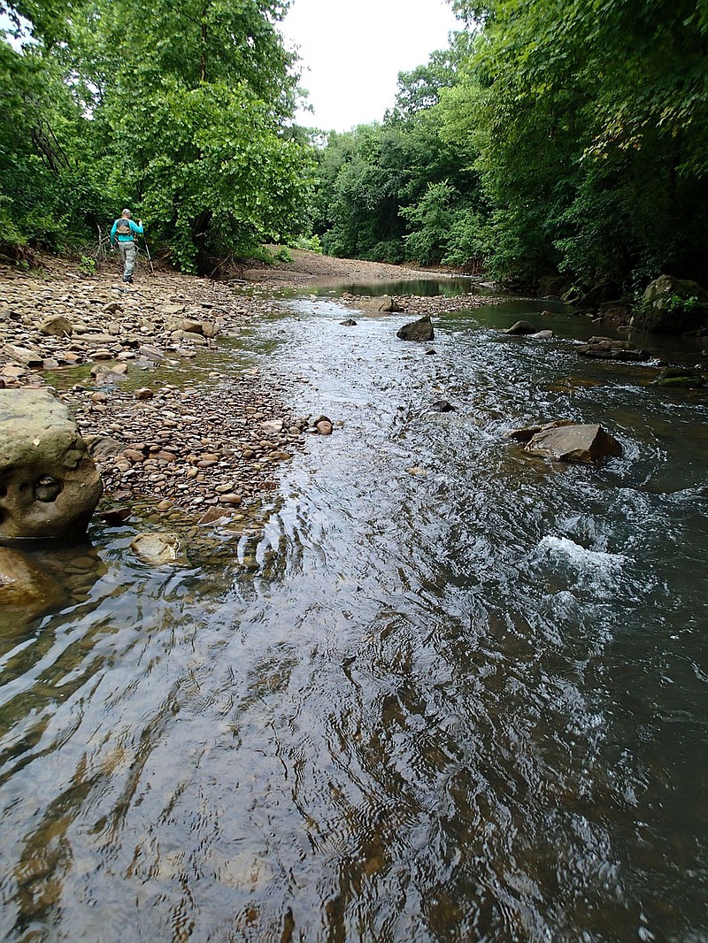 Pat Bodishbaugh of Fayetteville hikes to another fishing spot July 10 2021 along the Kings River. Low water during summer makes for ideal wade fishing on Ozark streams. On this trip Bodishbaugh rarely got into water more than ankle deep, mainly walking the shoreline and covering about one-half mile of the stream.
(NWA Democrat-Gazette/Flip Putthoff)