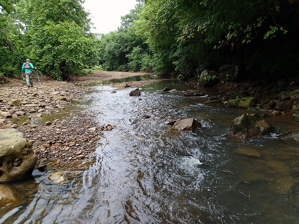 Pat Bodishbaugh of Fayetteville hikes to another fishing spot July 10 2021 along the Kings River. Low water during summer makes for ideal wade fishing on Ozark streams. On this trip Bodishbaugh rarely got into water more than ankle deep, mainly walking the shoreline and covering about one-half mile of the stream.
(NWA Democrat-Gazette/Flip Putthoff)