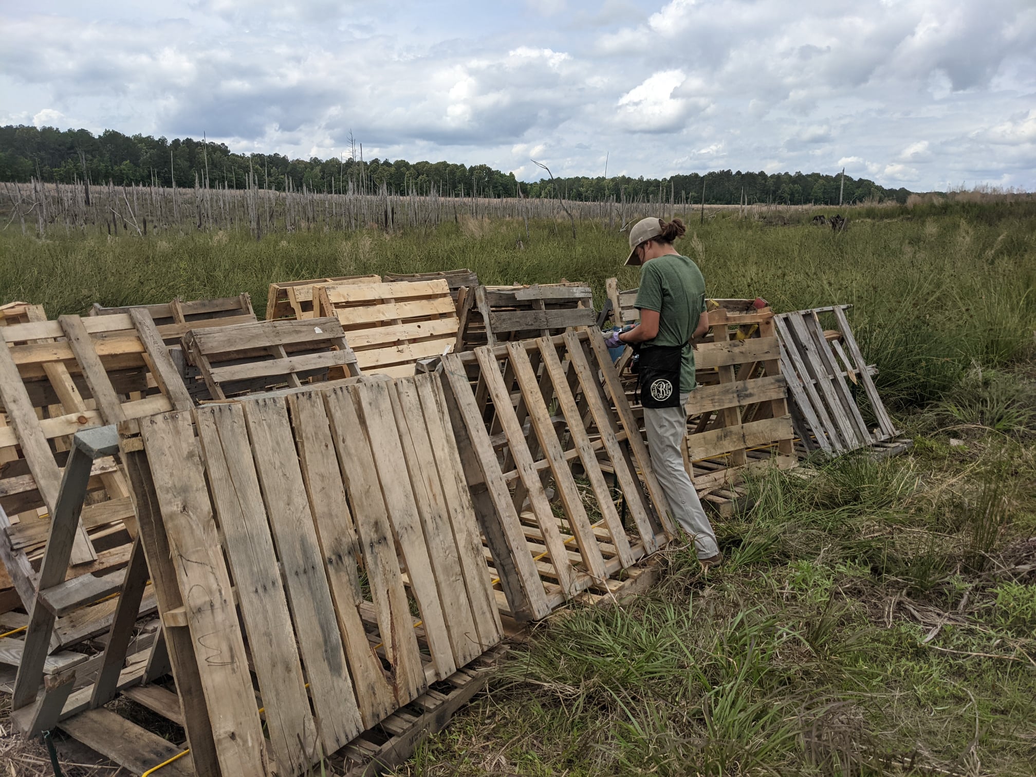 Fishery habitat project progresses