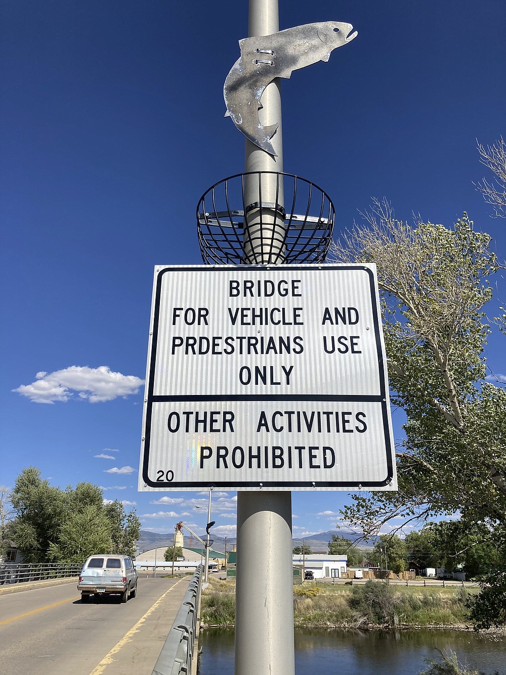 A leaping trout on a streetlight on a bridge over the North Platte celebrates fly fishing in Saratoga, Wyoming, on Tuesday,Aug. 24, 2021.The upper North Platte is one of several renowned trout streams affected by climate change, which has brought both abnormally dry, and sometimes unusually wet, conditions to the western U.S. (AP Photo/Mead Gruver)