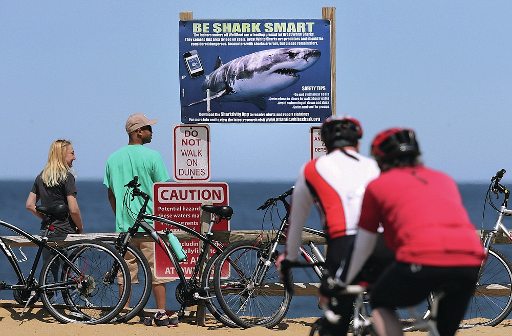 FILE - In this May 22, 2019 file photo, a couple stands next to a shark warning sign while looking at the ocean at Lecount Hollow Beach in Wellfleet, Mass. Cape Cod is slowly embracing its shark reputation, three summers after the popular vacation destination saw its first great white shark attacks in generations. A growing group of charter boat operators are offering shark tours to complement the region's whale and seal watching excursions. (AP Photo/Charles Krupa, File)