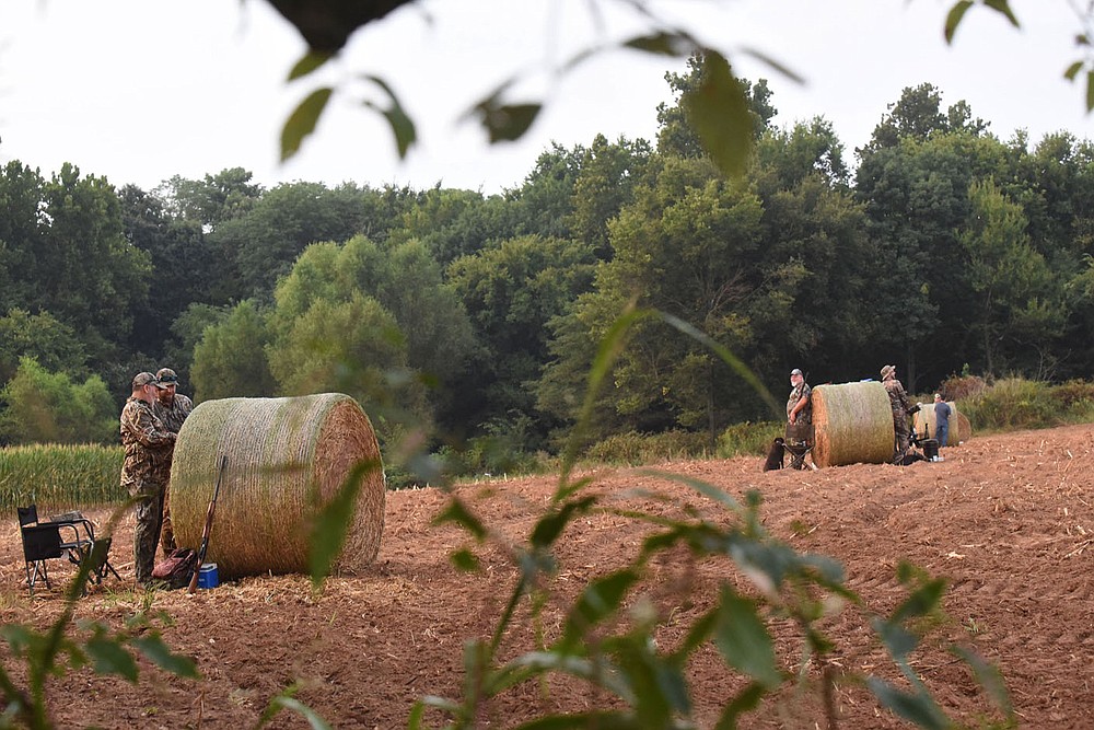 Shooting stations at the dove field Sept. 4 2021 are marked with round bales of hay.
(NWA Democrat-Gazette/Flip Putthoff)