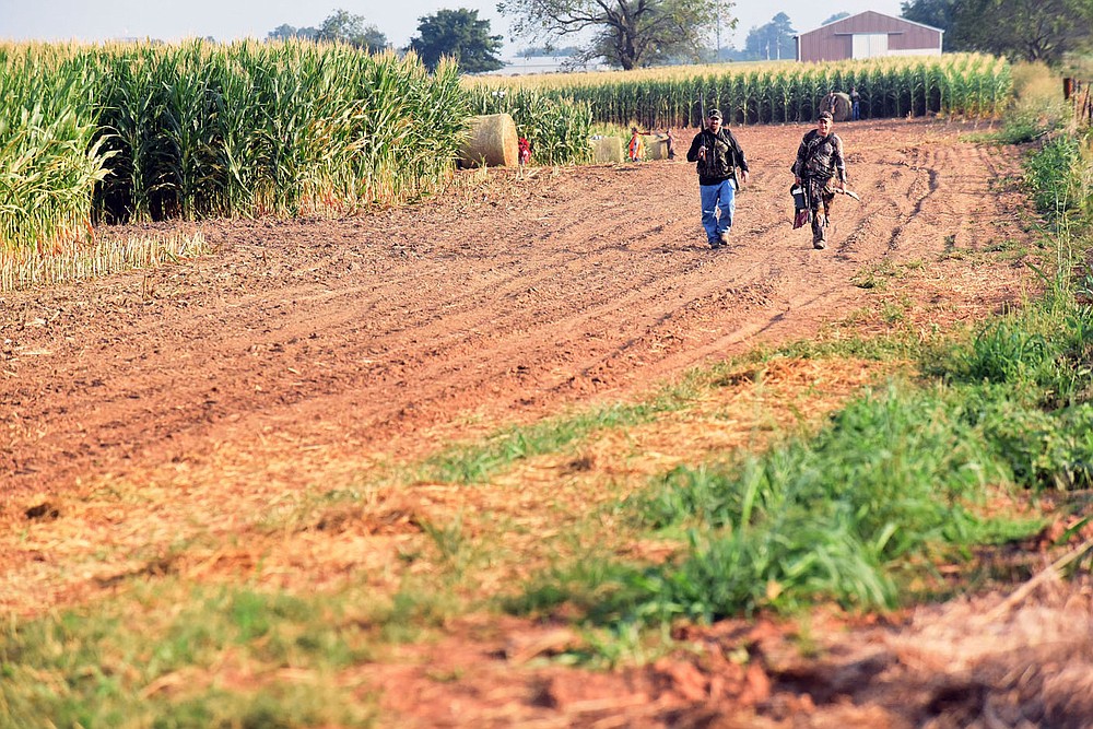 Hunters exit the permit-only dove field near Prairie Grove on Sept. 4, 2021, opening day of dove season.
(NWA Democrat-Gazette/Flip Putthoff)