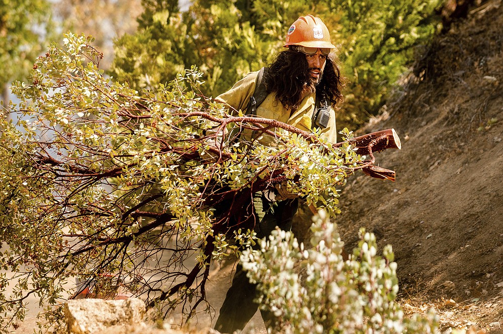 Weather slows fire near giant sequoia trees