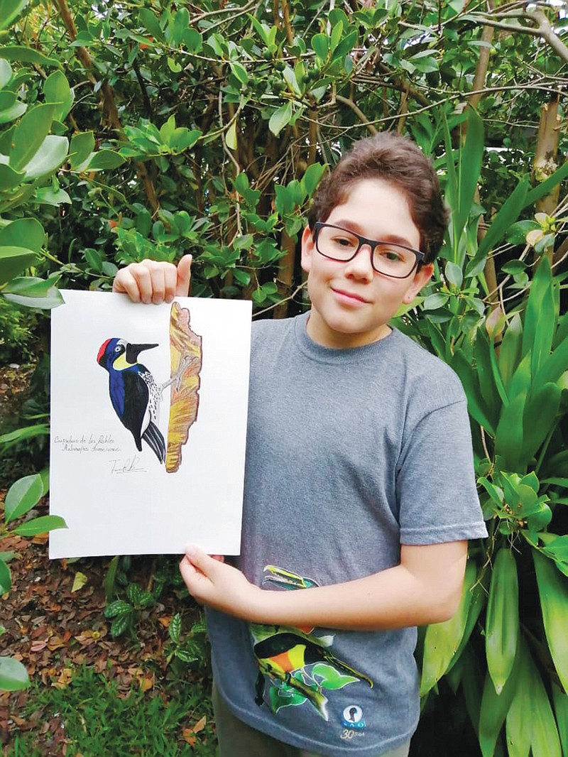 In this Aug. 2020 photo provided by Johana Reyes Herrera, Jacobo Rendon, 14, poses with his illustration of an Acorn Woodpecker in his backyard in El Camino de Viboral, Colombia. Rendon has been working on a photographic and illustrated bird guide that he plans to donate to a local cultural center. (Johana Reyes Herrera via AP)