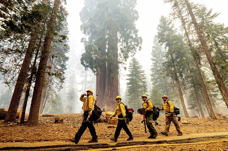 Firefighters battle the Windy Fire as it burns in the Trail of 100 Giants grove of Sequoia National Forest, Calif., on Sunday, Sept. 19, 2021.  (AP Photo/Noah Berger)