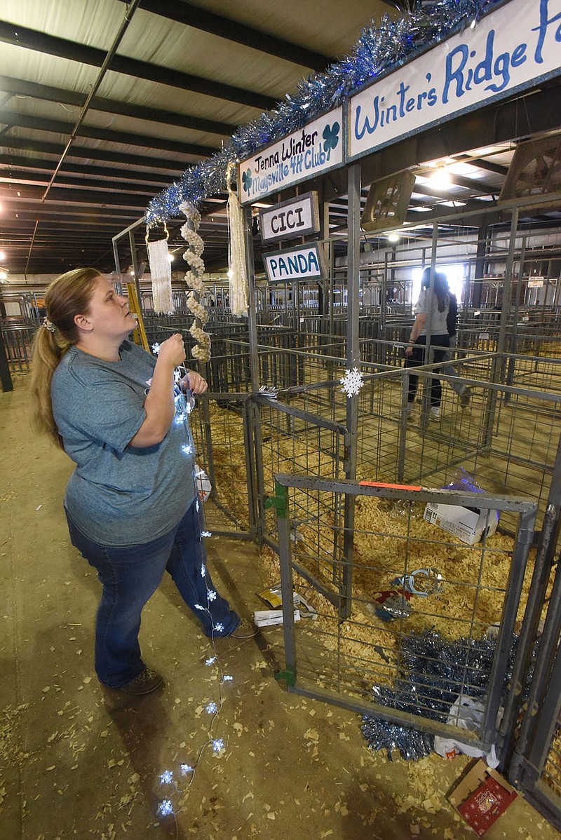 Ashley Cloud decorates livestock stalls on Saturday Sept. 25 2021 at the Benton County Fairgrounds. Dairy goats from Winter's Ridge Farm near Maysville will be kept in the stalls.
(NWA Democrat-Gazette/Flip Putthoff)