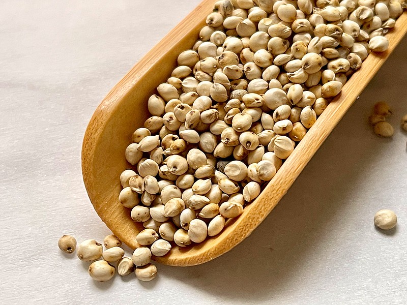 Sorghum grains before cooking are about half as big a whole black peppercorns. (Arkansas Democrat-Gazette/Kelly Brant)