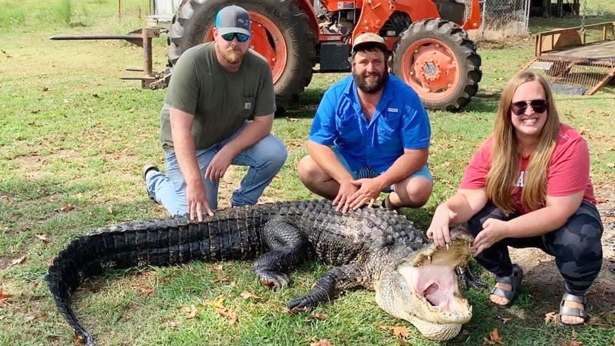 Hunters bag 161 gators in season
