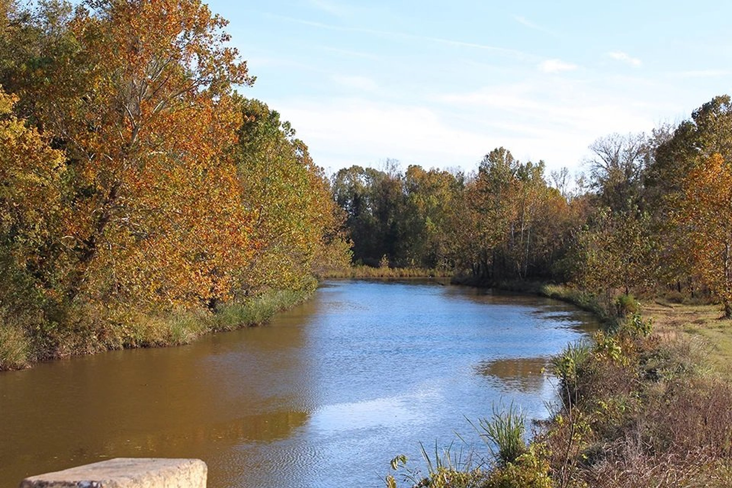 Longest bayou begins close to Pine Bluff