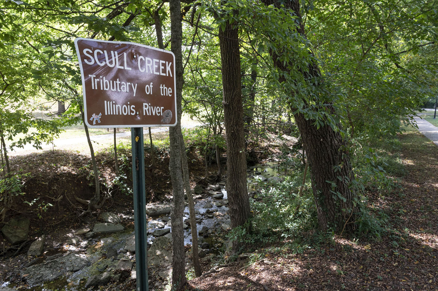 Creek restoration at Wilson Park in Fayetteville to help spur appreciation for nature, park officials say - Vimarsana News