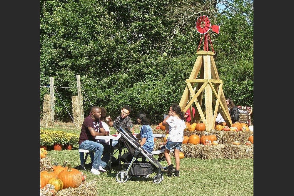 Hicks Family Farms has outdoor tables available for picnicking. (Special to the Democrat-Gazette/Marcia Schnedler)