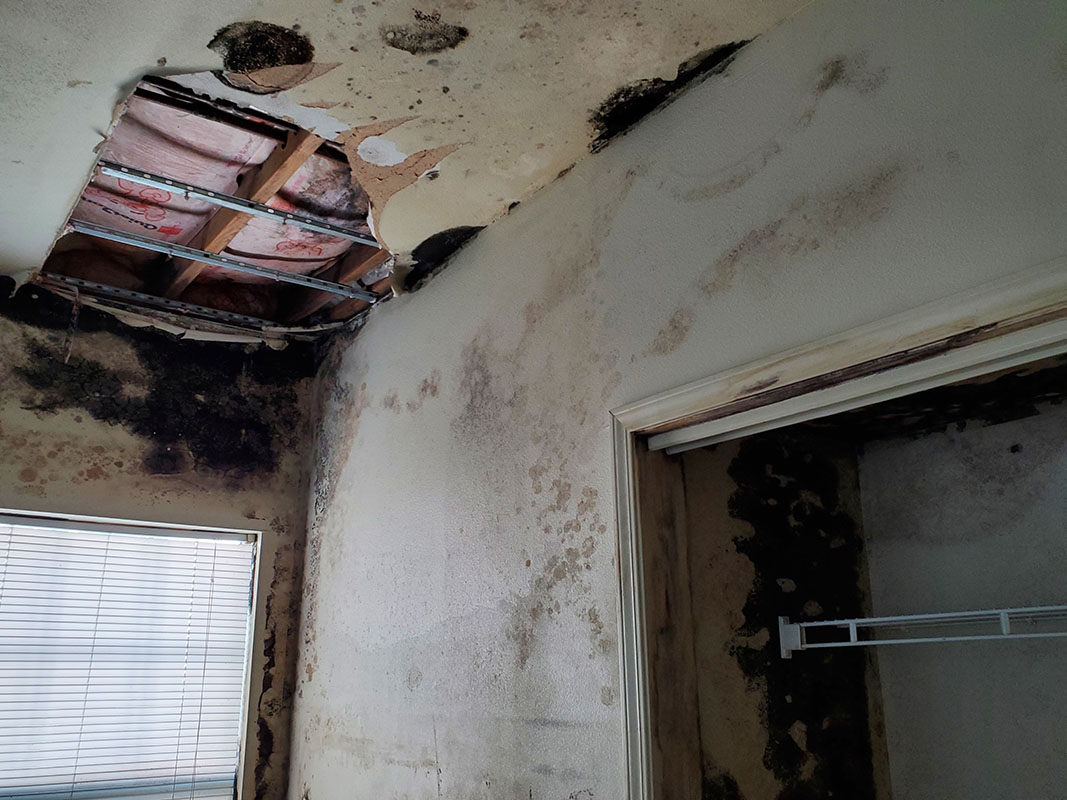 Texas company suing LR's housing agency - Vimarsana News