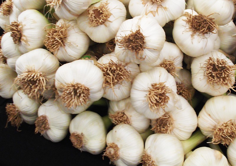 Garlic bulbs are bundles that can be divided into smaller bulbs called cloves; each clove can be planted to grow more garlic.  (Special to the Democrat-Gazette/Janet B. Carson)