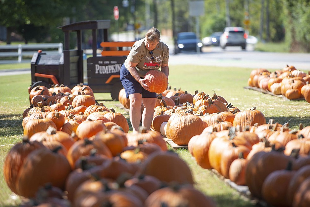 Kimberly Brink arranges pumpkins Monday Oct. 4, 2021 while working at the Sequoyah United Methodist Church Youth Pumpkin Patch in Fayetteville. This is the 16th year that the church has held a pumpkin sale. They sell a variety of pumpkins including traditional Jack O' Lantern, Wing Gourds, Goose Neck Gourds and Gizmo Gourds with funds raised going to the church's youth ministries and the Navajo Nation in New Mexico. The pumpkin patch is open seven days a week for sales and photographs. Visit nwaonline.com/210001005Daily/  (NWA Democrat-Gazette/J.T. Wampler)