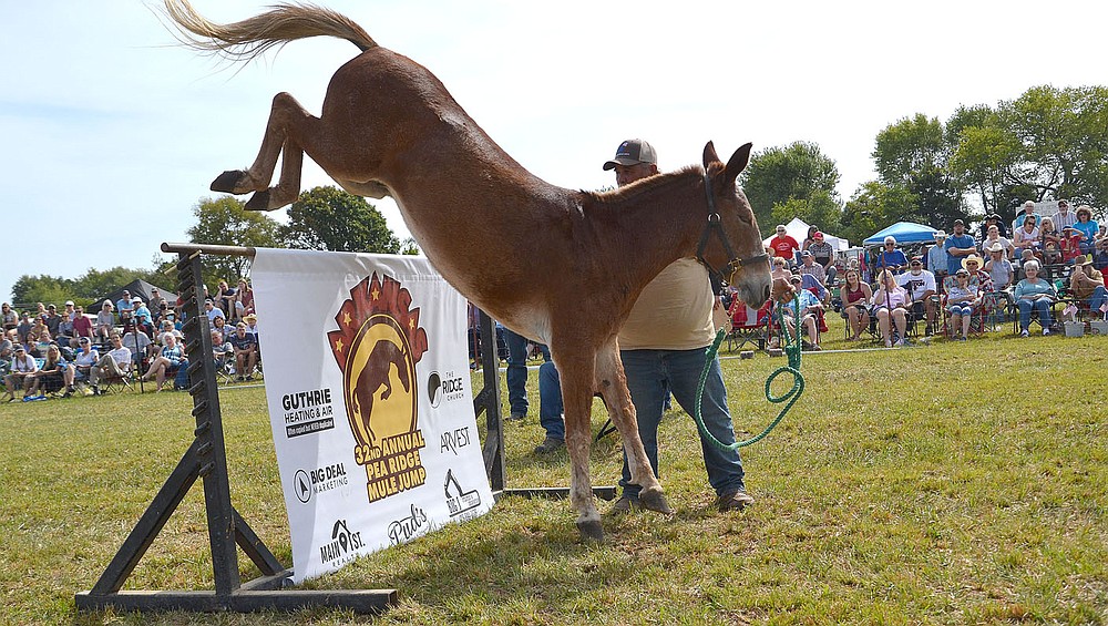 Jerry Nelson and Dexter took second place in the 51 inches and over mule jump. For more photographs, go to https://tnebc.nwaonline.com/photos/.