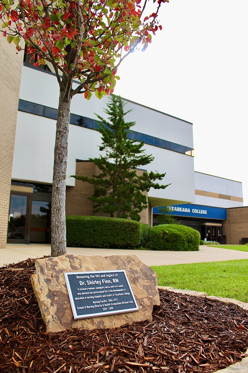 In 2002, Dr. Shirley Finn was honored as the Distinguished Faculty Honoree with the planting of a tree. As a tribute to Dr. Finn, a new tree was planted at the new home of the TC Health Sciences division. Dr. Finn’s tree can be found on the west side of the Health Sciences and Media Center buildings. (Photo courtesy of Suzy Irwin/TC)