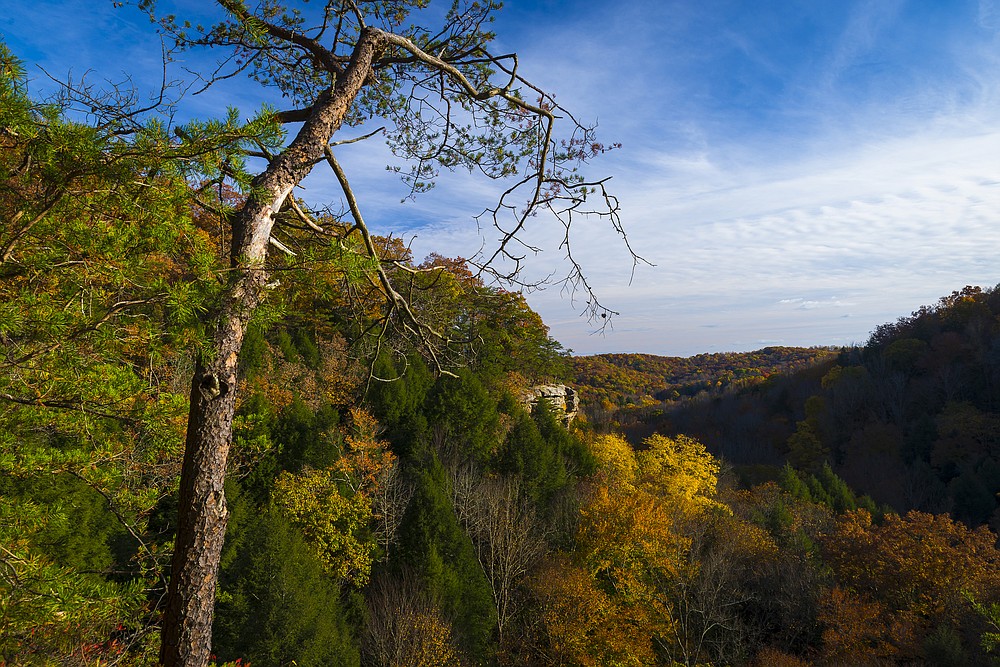 The overlook at Conkle's Hollow in Hocking Hills State Park in Ohio. (Dreamstime/TNS)
