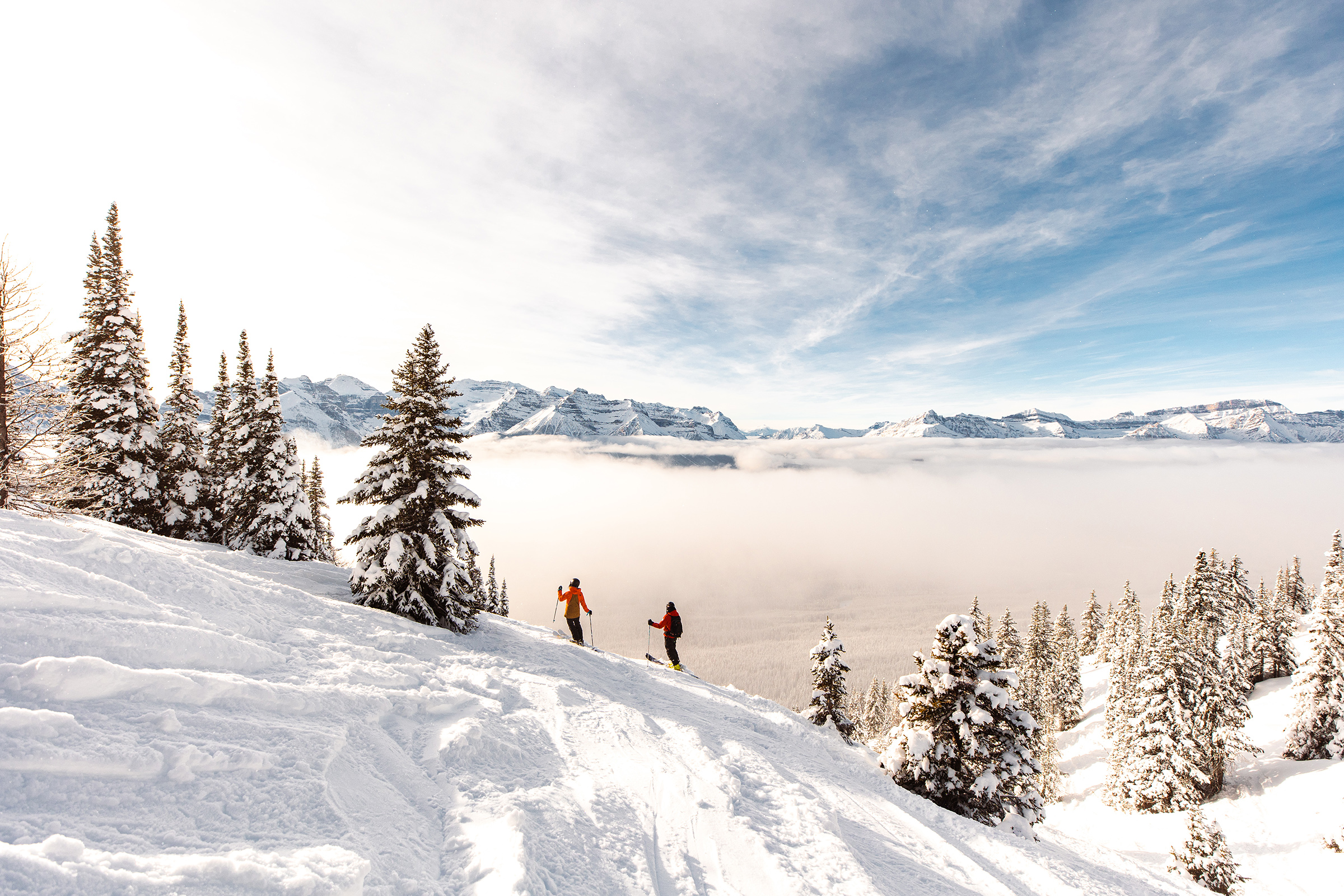 In need of a lift? It's almost ski season - Vimarsana News