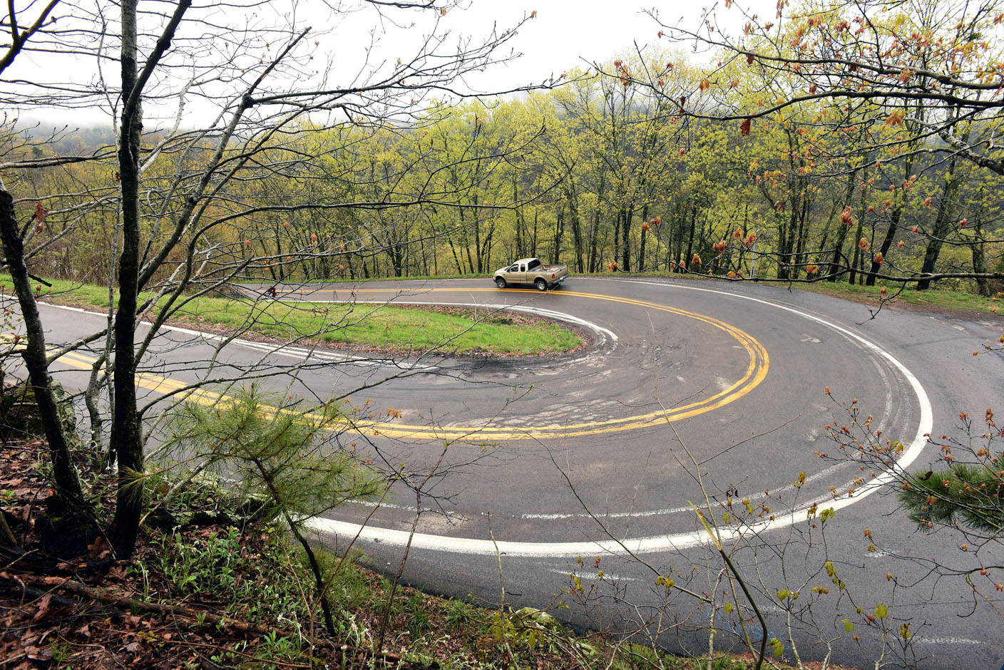 'On the road again' for fall color tour: Scenic loop shows sights of season - Vimarsana News