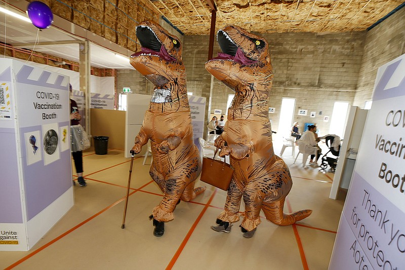 Allan Beverwijk and Patsy Beverwijka, dressed in dinosaur suits, arrive at a vaccination center in Whangarei, New Zealand, Saturday, Oct. 16, 2021. New Zealand health care workers have administered a record number of vaccine jabs as the nation holds a festival aimed at getting more people inoculated against the coronavirus. (Michael Cunningham/NZME via AP)
