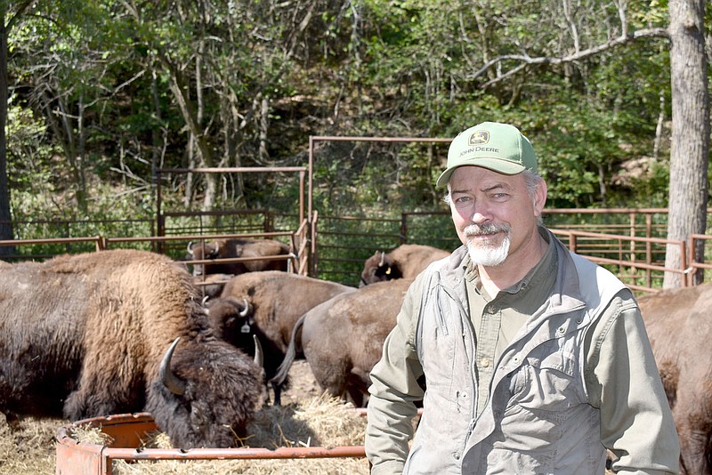 RACHEL DICKERSON/MCDONALD COUNTY PRESS Jett Hitt is pictured with some of the bison at Brush Creek Bison, located near the state line in McDonald County.