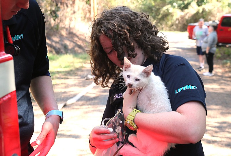 LifeNet Paramedic Kristina Adams holds Cheeto after the Piney Fire Department chief rescued it from a burning home on Monday at 110 Nickens St. - Photo by Richard Rasmussen of The Sentinel-Record