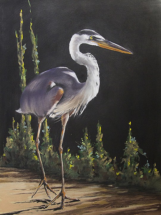 Garvan gallery featuring artist's nature works through November | Hot ...