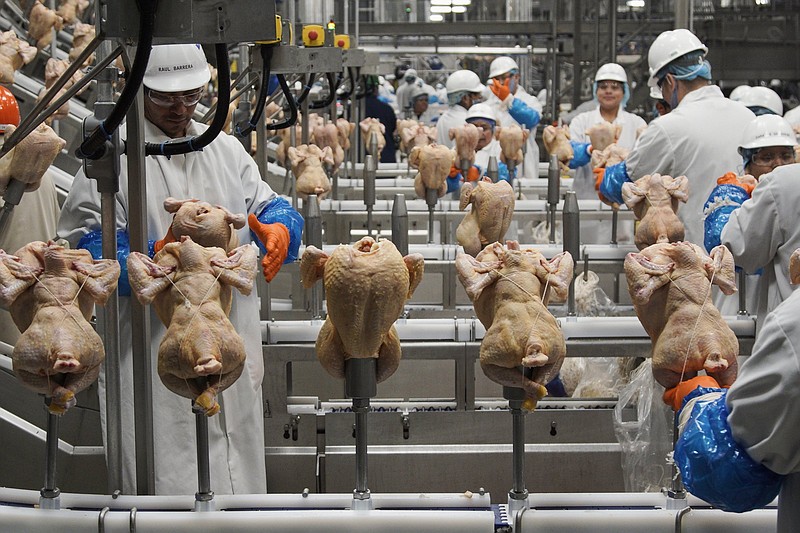 Workers process chickens at a poultry processing plant in Fremont, Neb., in 2019. The  U.S. Department of Agriculture plans to set up pilot projects aimed at changing the way it tests for salmonella processing plants.
(AP/Nati Harnik)