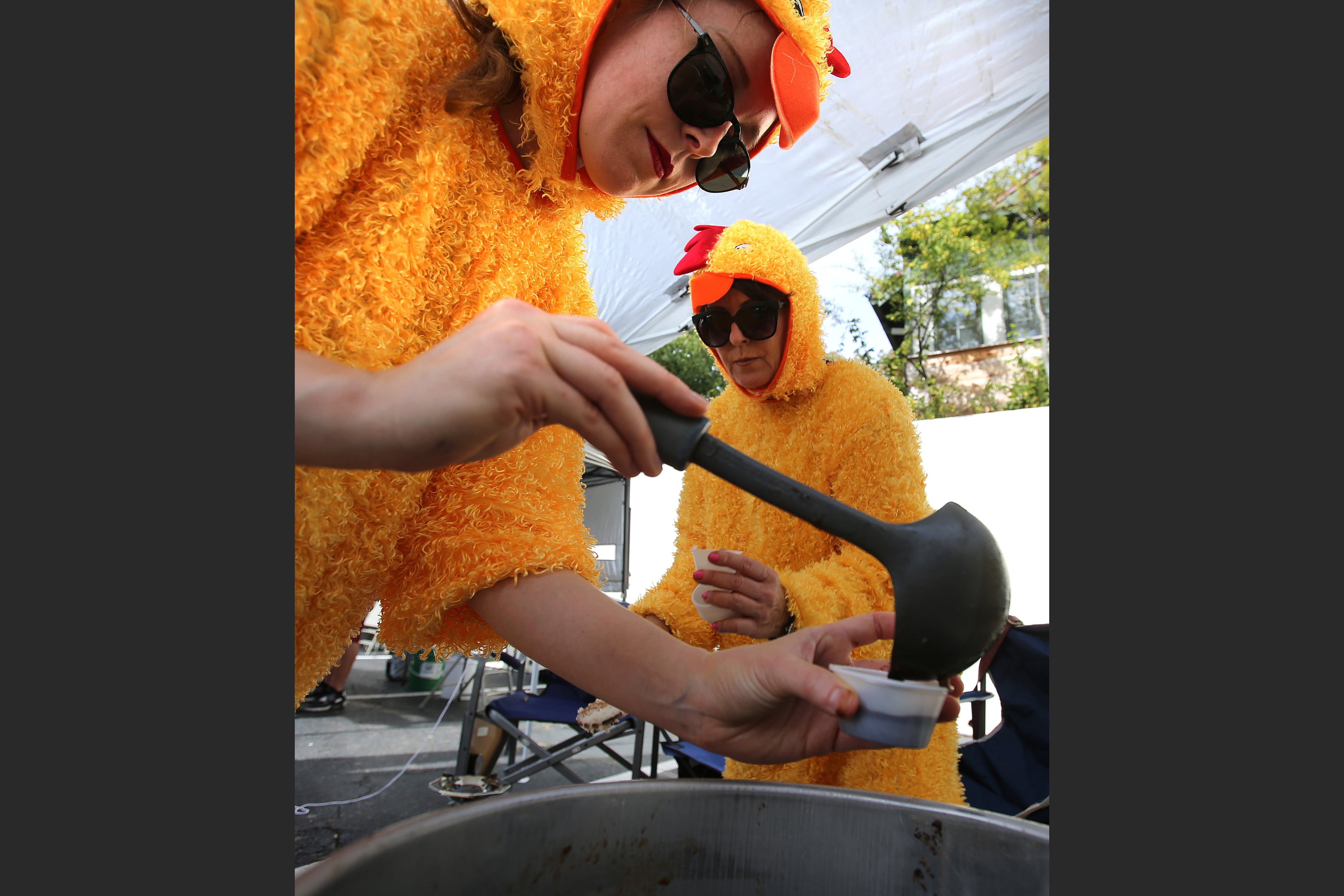 Beer, food, costumes, dog show back in Hillcrest for HarvestFest - Vimarsana News