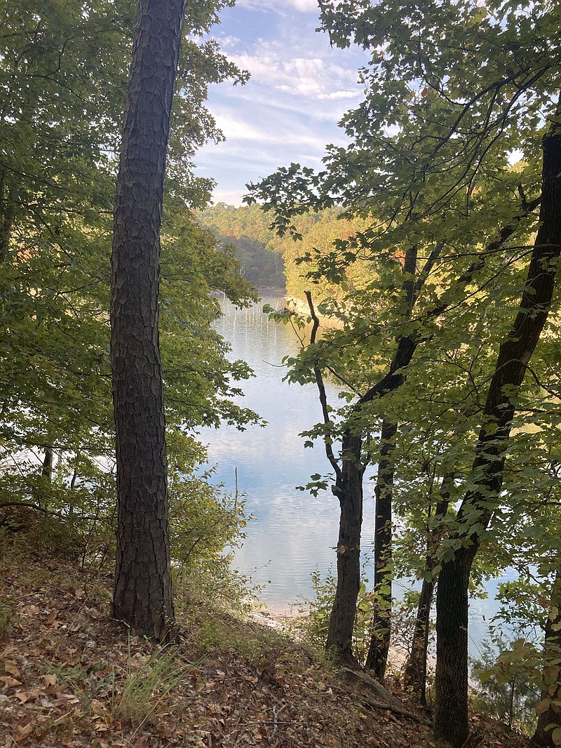 An early morning hike on the Karst Loop at Hobbs State Park-Conservation Area showcases Beaver Lake and fall colors of the Ozarks. 
(NWA Democrat-Gazette/Flip Putthoff)
