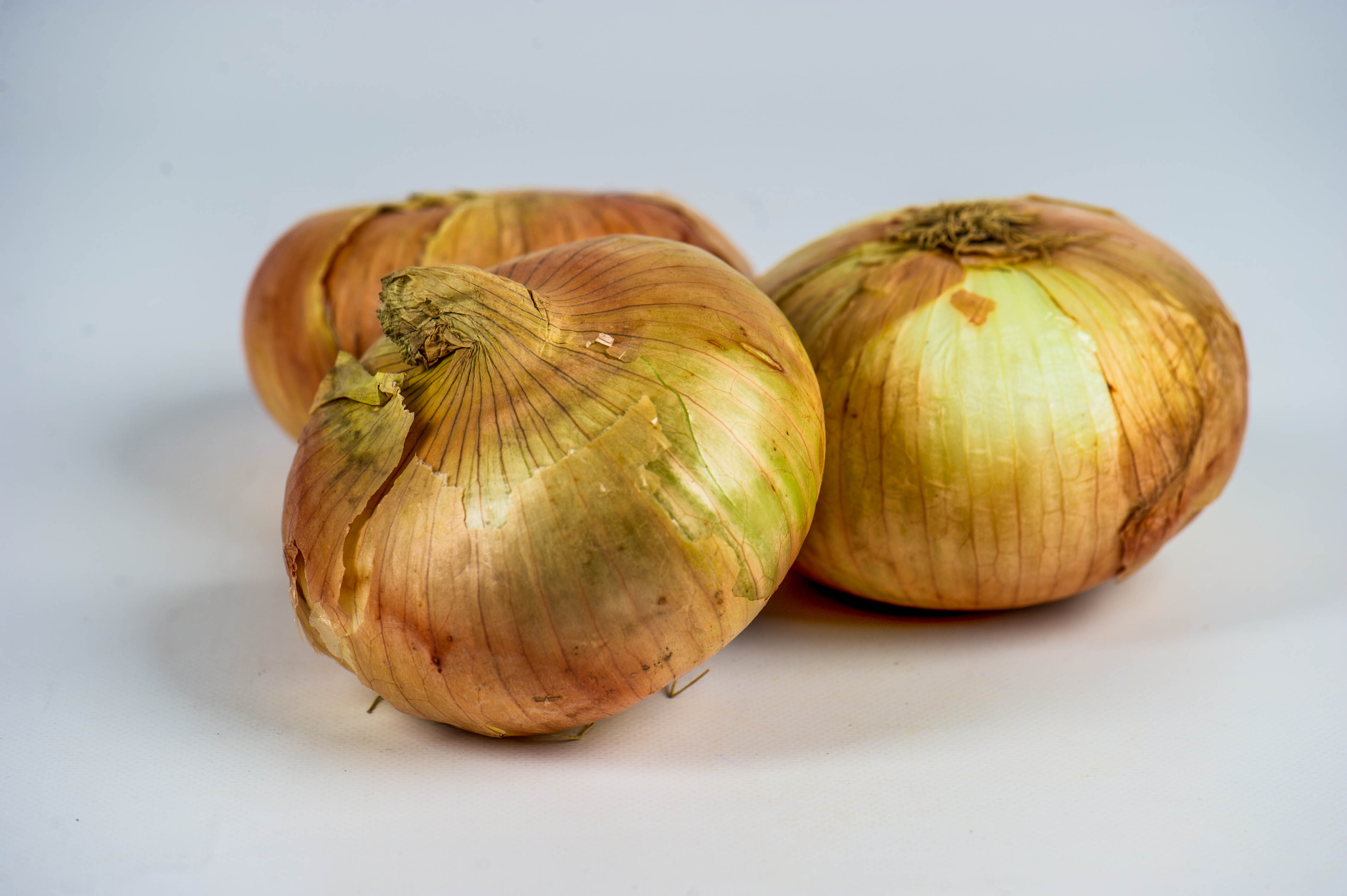 U.S. salmonella outbreak tied to onions sickens more than 650 - Vimarsana News