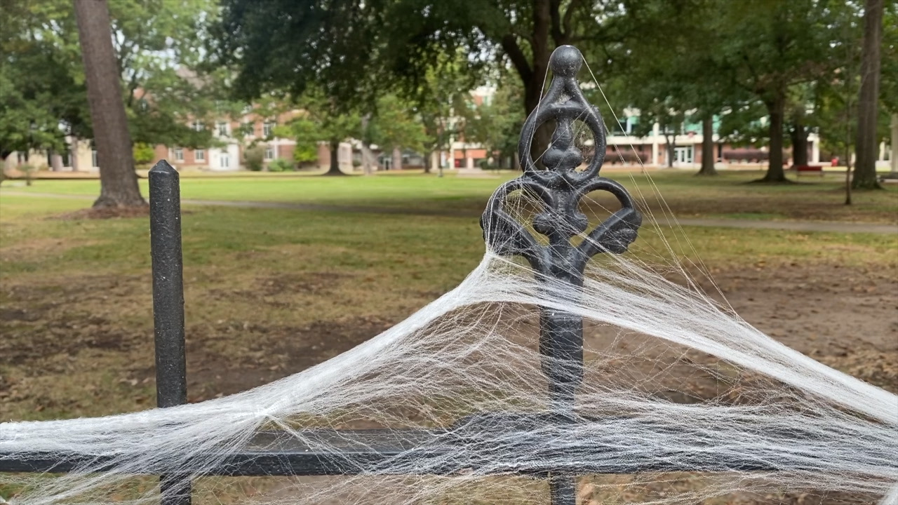 'Lady in Black' still said to haunt halls at HSU - Vimarsana News