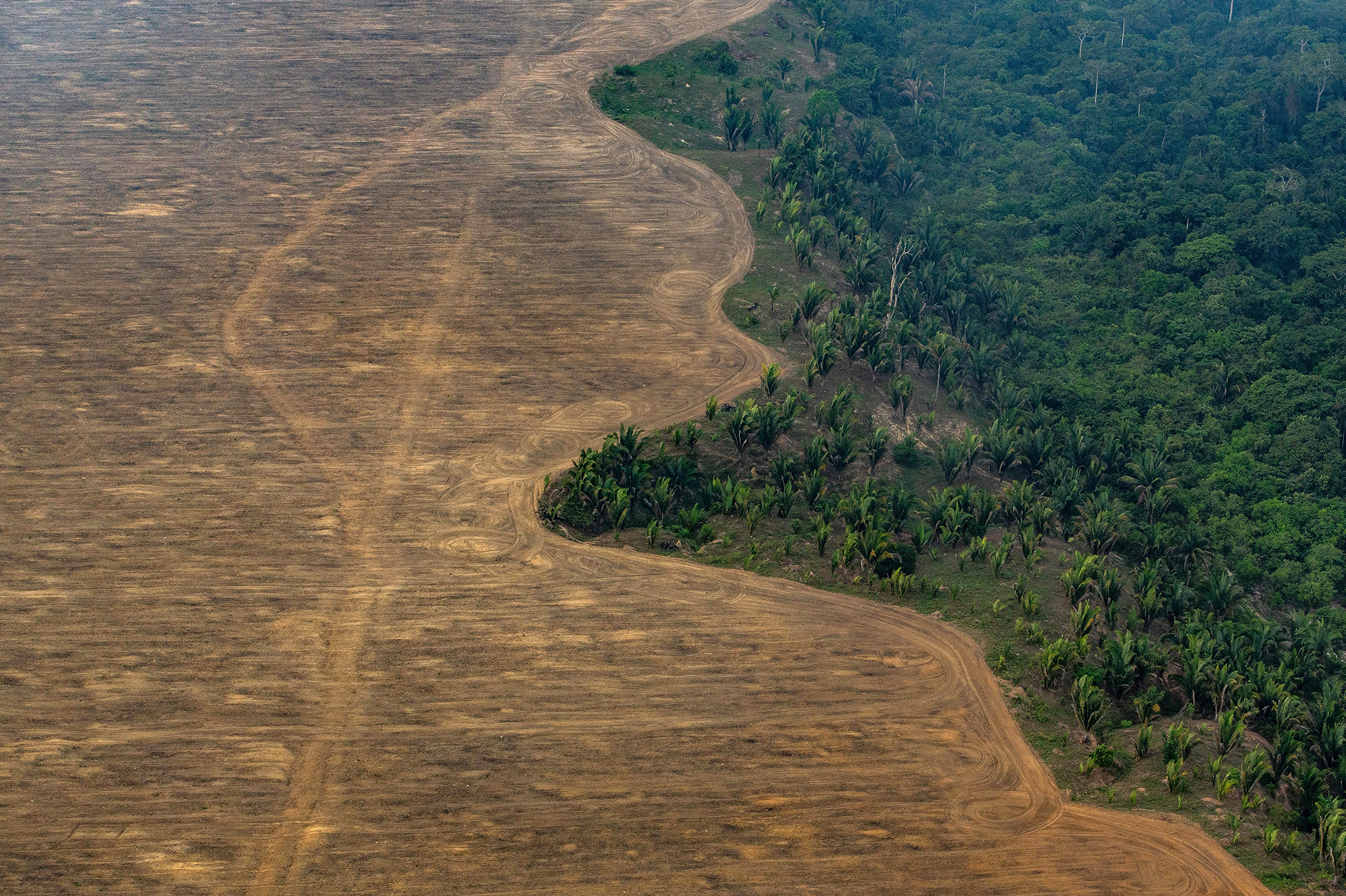Globe's leaders pledge to save trees, pare methane emissions - Vimarsana News