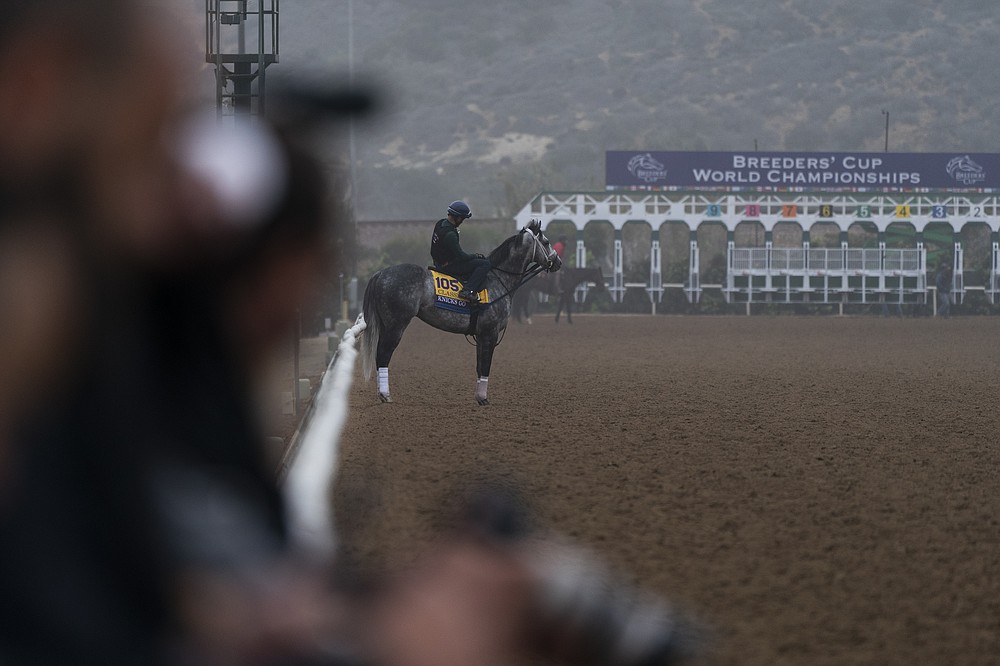 Knicks Go ridden by an exercise rider stands on a track during morning workouts at Del Mar racetrack prior to the Breeders' Cup World Championship horse races Thursday, Nov. 4, 2021, in Del Mar, Calif. (AP Photo/Jae C. Hong)