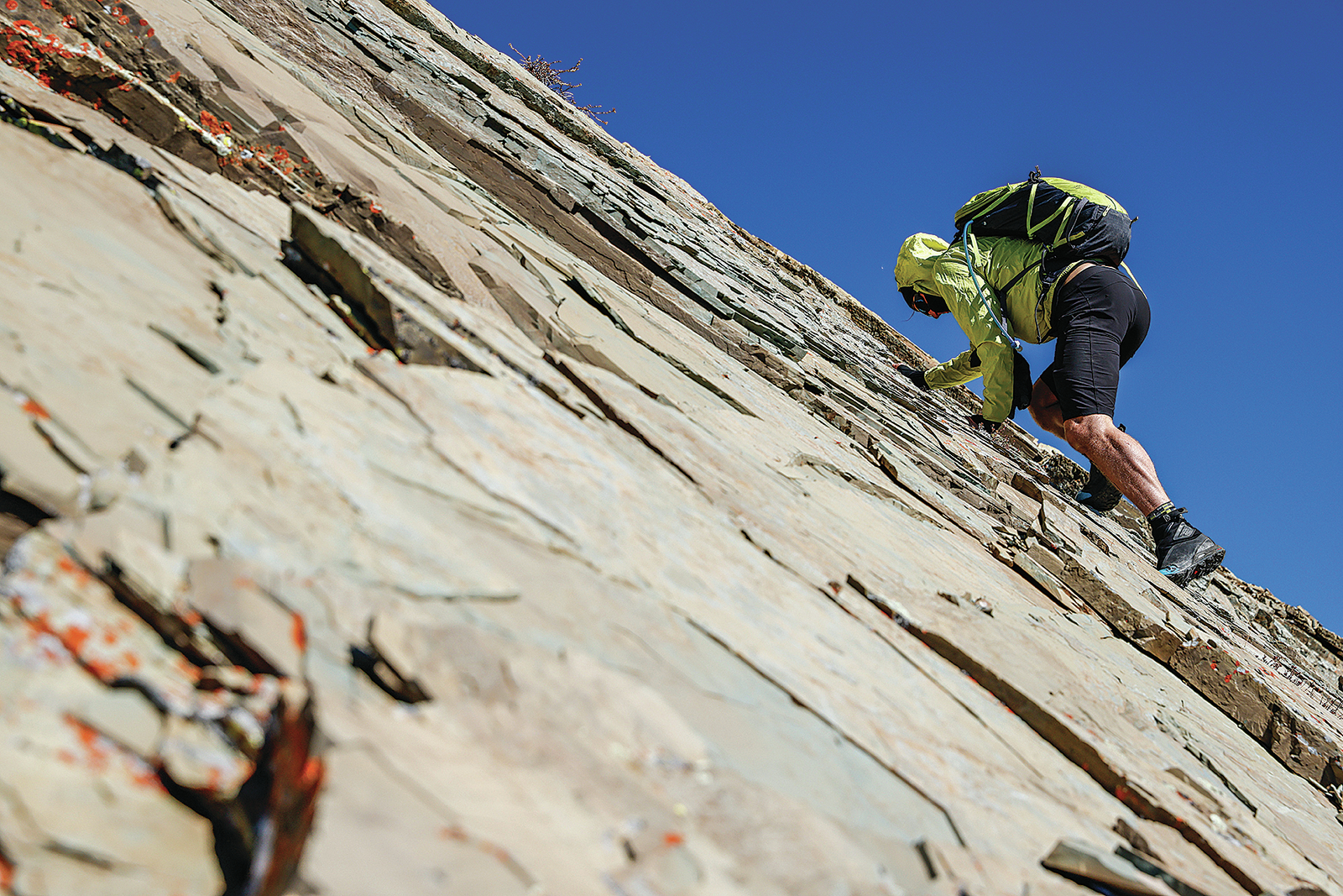 Born to climb: Low-key climber tops imposing peaks in Montana - Vimarsana News