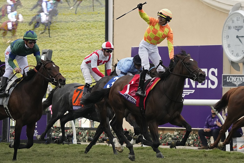 Jose L. Ortiz celebrates atop Pizza Bianca after winning the Breeders' Cup Juvenile Fillies Turf race at the Del Mar racetrack in Del Mar, Calif., Friday, Nov. 5, 2021. (AP Photo/Jae C. Hong)
