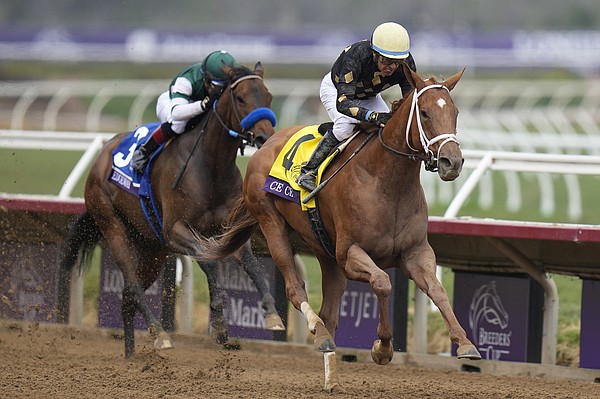 Oaklawn horses win two early races on Breeders' Cup card | Hot Springs ...