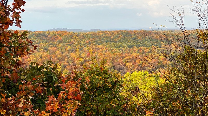 Weather a major factor in fall colors | The Arkansas Democrat-Gazette ...