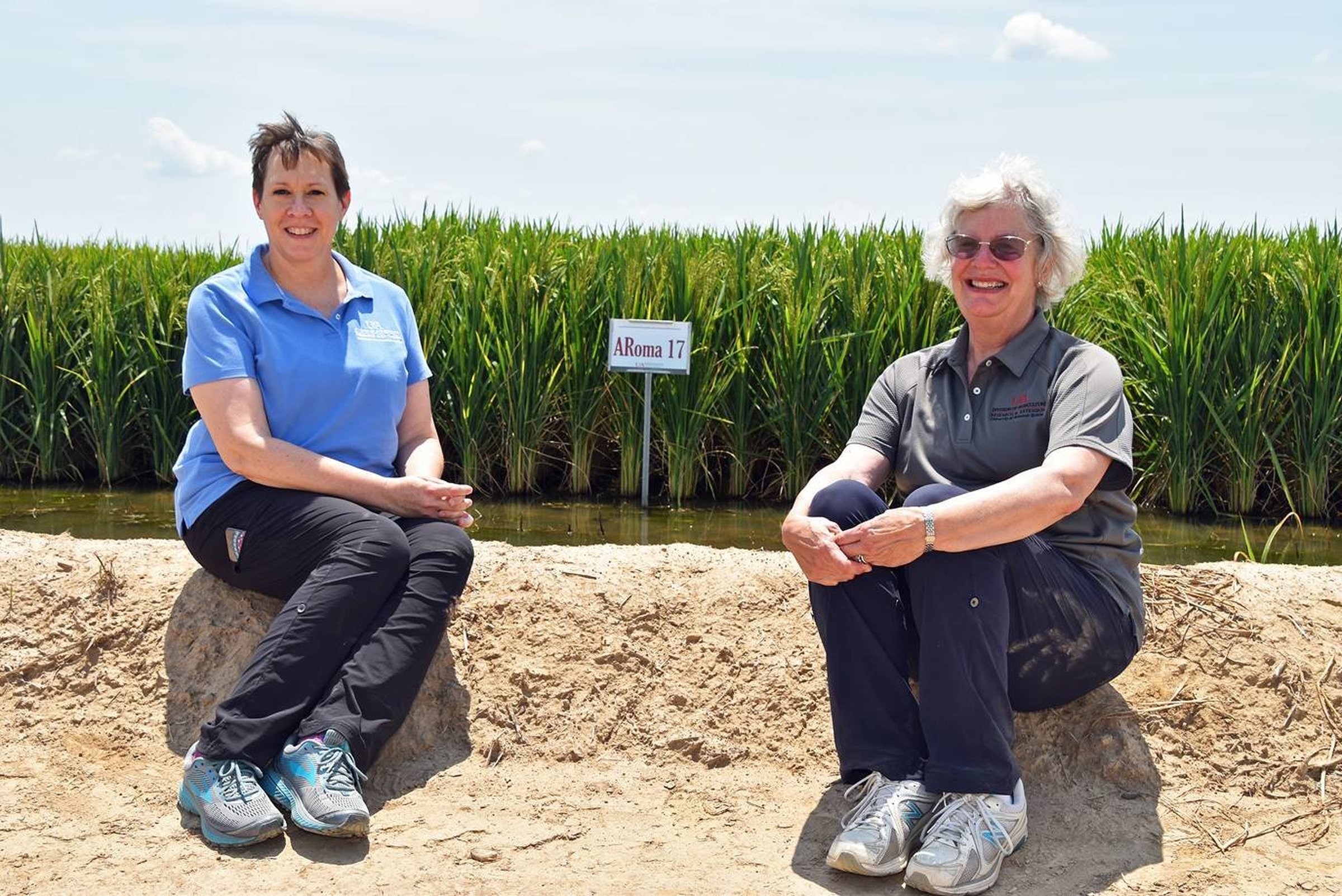 State’s rice has big role in gin