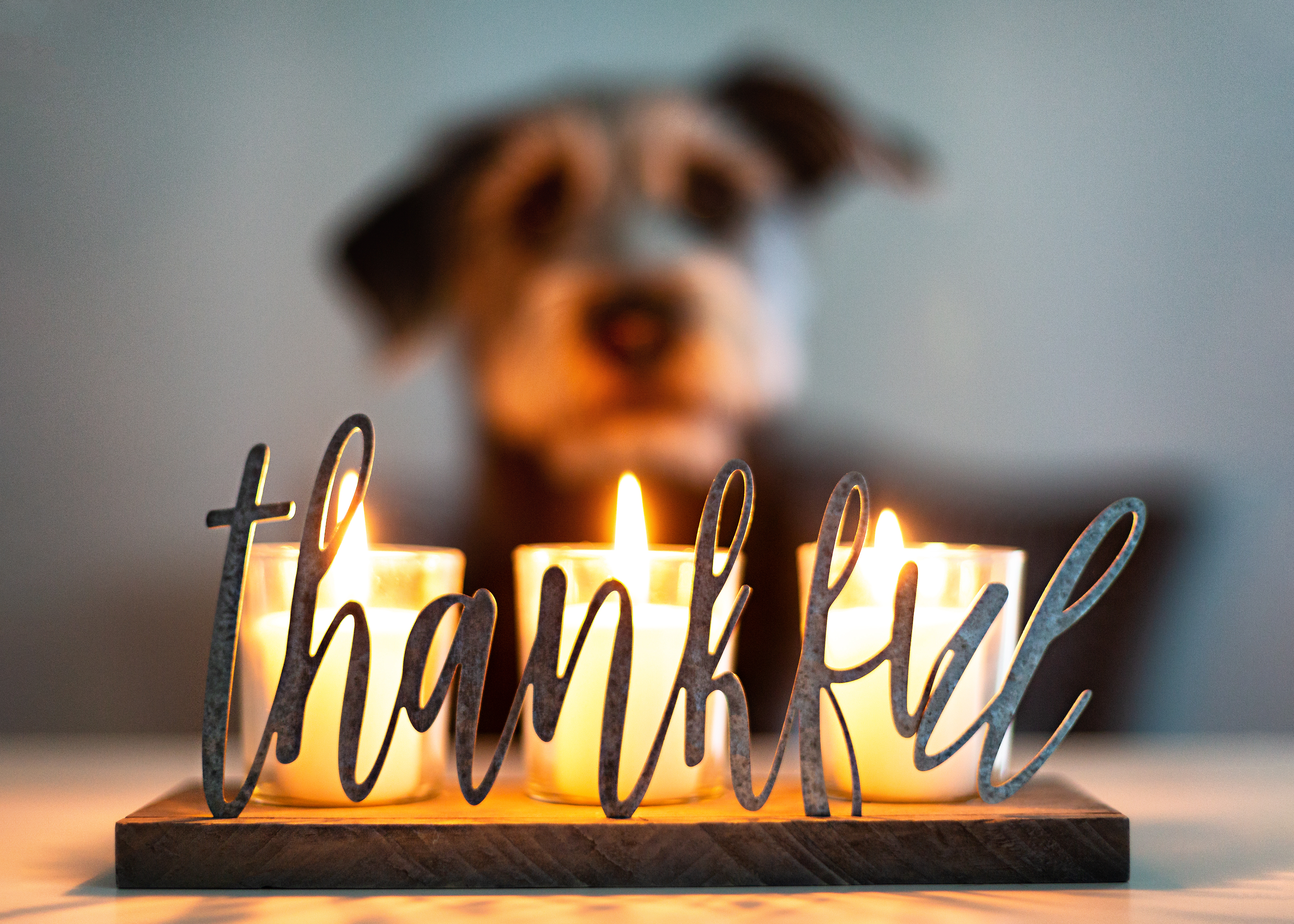 Readers share what they are thankful for - Vimarsana News