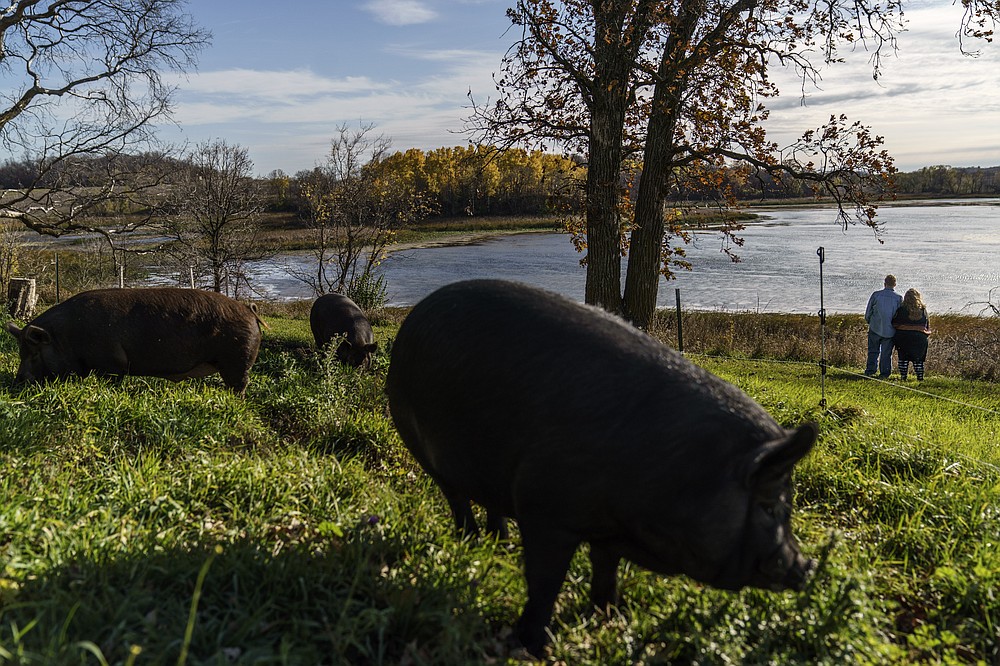 Pigs roam the farm of Caroline Clarin, left, and her wife, Sheril Raymond, as they pause along the water's edge for a photo in Dalton, Minn., Tuesday, Oct. 26, 2021. Clarin has helped get five of her former employees and their families in Afghanistan into the U.S. since 2017, while her wife has helped them rebuild their lives in America. (AP Photo/David Goldman)