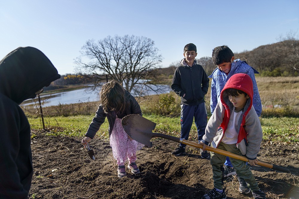 Ali Patan, 7, right, shovels dirt while looking for worms with his brothers, Sala, 9, left, and Maiwan, 12, center, and cousins, Laiba, 7, in dress, and her brother, Haiwad, 9, rear right, while visiting the farm of Caroline Clarin in Dalton, Minn., Saturday, Oct. 30, 2021. "They are kinda free," Ihsanullah Patan, a horticulturist and refugee from Afghanistan, says of his kids now, recalling how bomb blasts in Kabul caused them to miss school more than once. They still carry the trauma. When fireworks were shot off for Fourth of July this summer, Patan called his cousin in a panic and asked if the town was being bombed. (AP Photo/David Goldman)