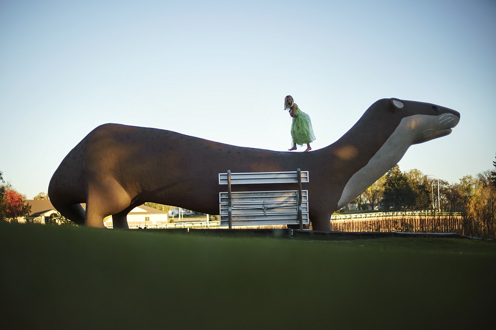 A girl plays on a giant otter sculpture in Fergus Falls, Minn., Friday, Oct. 29, 2021. It is a place where neighbors pay unannounced visits to say "hi" and people greet the postmaster by name. It is also staunchly Republican. Fergus Falls is the county seat of Otter Tail County, which voted twice for former President Donald Trump. But people in town say friendships and family take precedence over political views. (AP Photo/David Goldman)
