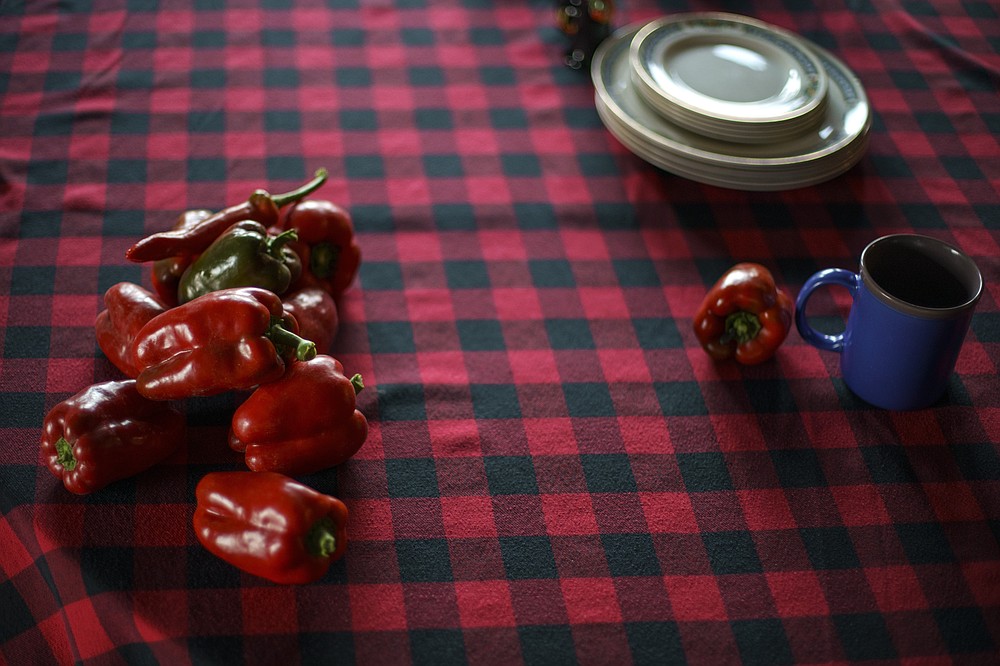 Peppers sit on the dining table of Caroline Clarin at her farm in Dalton, Minn., after she picked them from a garden she in part set up to grow vegetables for Afghan families she's helped relocate locally, Thursday, Oct. 28, 2021. (AP Photo/David Goldman)