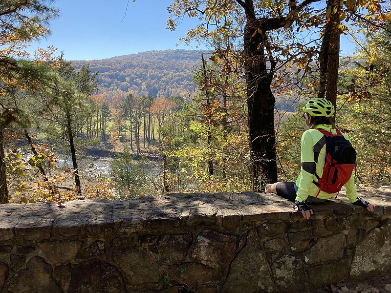 Karen Mowry takes in a panorama Nov. 8 2021 along the Mulberry River Road Scenic Byway. Bike-way may be another good name for Arkansas 215 along the Mulberry River.
(NWA Democrat-Gazette/Flip Putthoff)