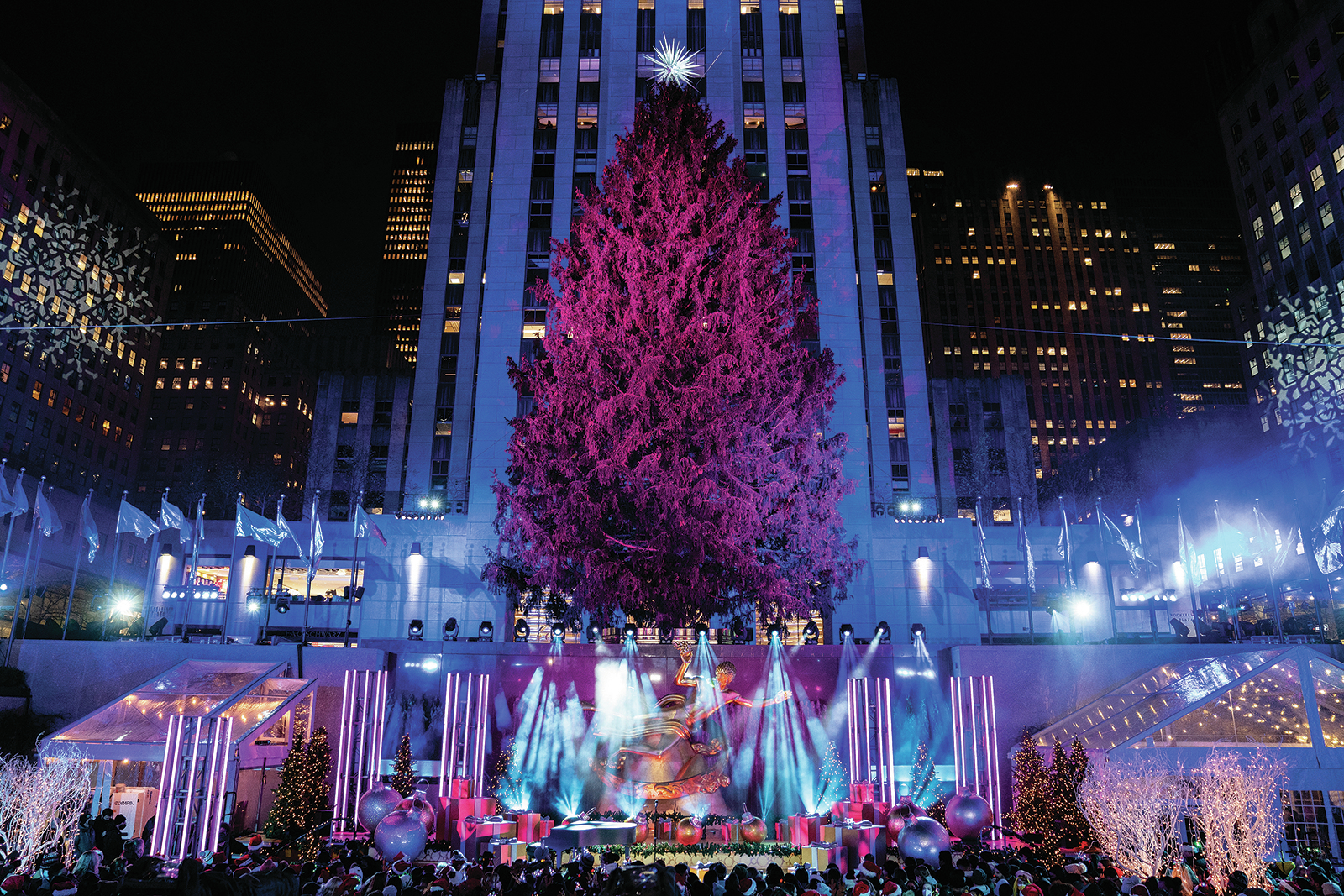 Meet the new 'Peacock Tree' adorning Rockefeller Center