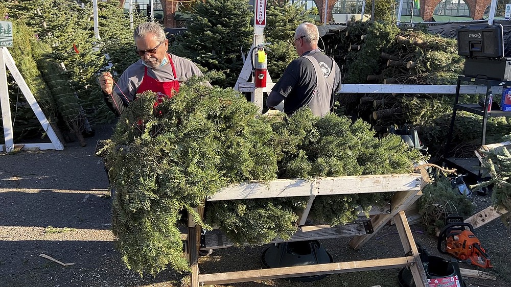 Dale Pine, owner of Crystal River Christmas Trees, prepares a tree for sale at his lot in Alameda, Calif. on Nov. 24, 2021. Extreme weather and supply chain disruptions have reduced supplies of both real and artificial trees this season. American shoppers should expect to have fewer choices and pay up to 30% more for both types this Christmas, industry officials say. (AP Photo/Terry Chea)