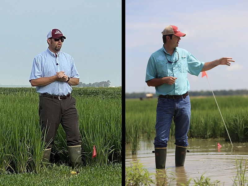 Trent Roberts, left, and Jarrod Hardke, will discuss soil fertility and row rice production Dec. 9 at Stuttgart. (Special to The Commercial/University of Arkansas System Division of Agriculture)